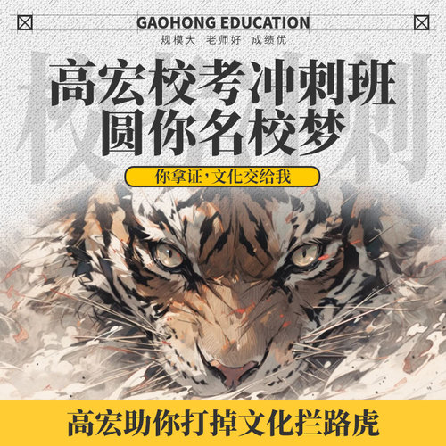 2025高宏艺考文补-校考冲刺班